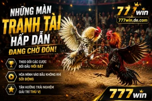 Thẻ hình ảnh 777win với khu vực ưu đãi