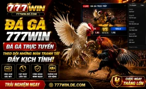 777win Đá Gà trên giao diện di động