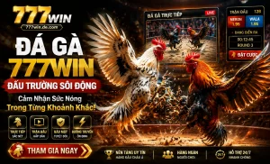 Khu đá gà 777win tối ưu cho điện thoại